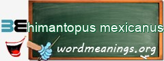 WordMeaning blackboard for himantopus mexicanus